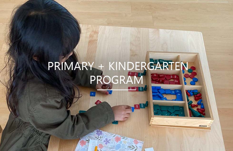 Primary - Kindergarten Program at Shadowridge Montessori School in Vista, CA.