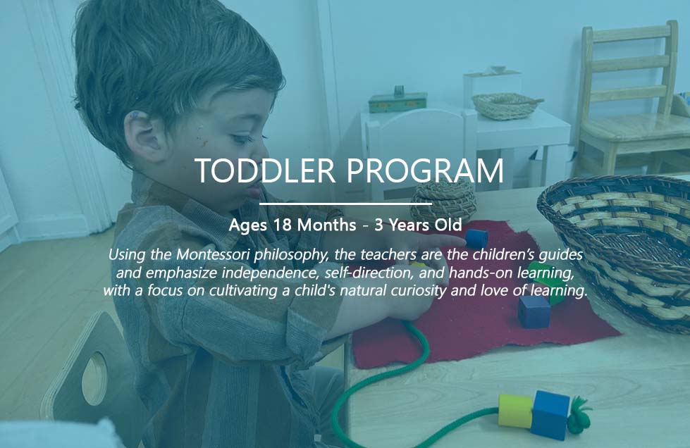 Toddler Program at Shadowridge Montessori School in Vista, CA.