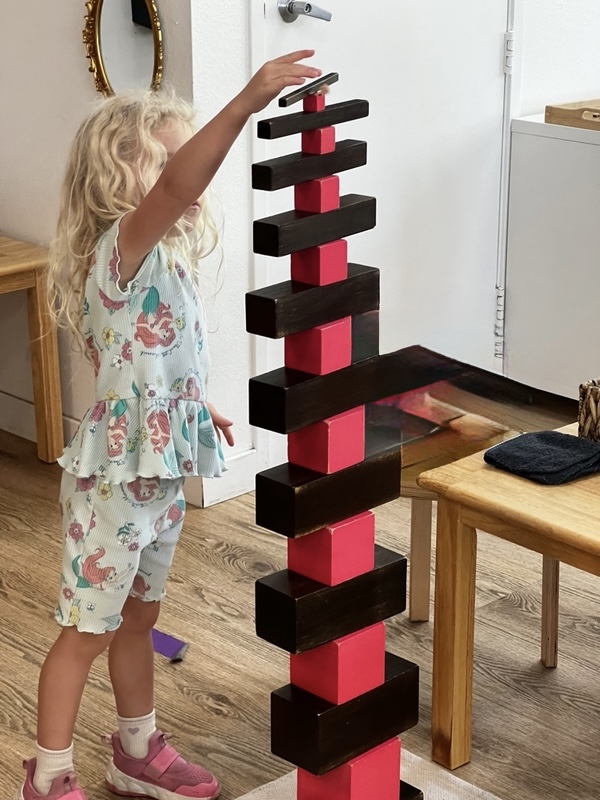 Visual Discrimination Of Dimensions is a Montessori term for a child's ability to perceive differences in size, shape, and weight.